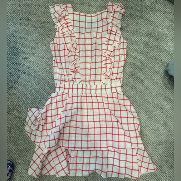 The Shirt by Rochelle Behrens - Red & White Checked Dress Ruffle Sleeve Small - Picture 5 of 11